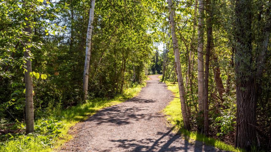 Serene walking limestone path at Jackson Park surrounded by trees