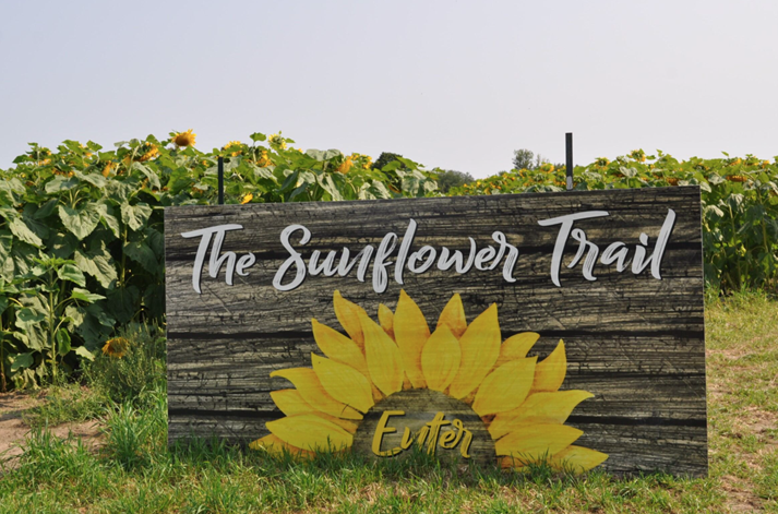 Visitors explore the u-pick flower fields at Laura’s Farm Stand, which features fresh produce sales and special events like floral workshops, brunches, and vendor markets.