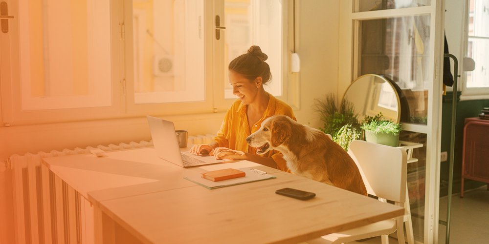 employee at home working with dog