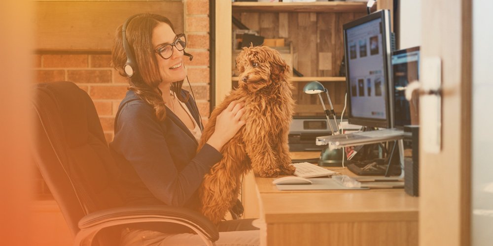 person at their desk with a dog