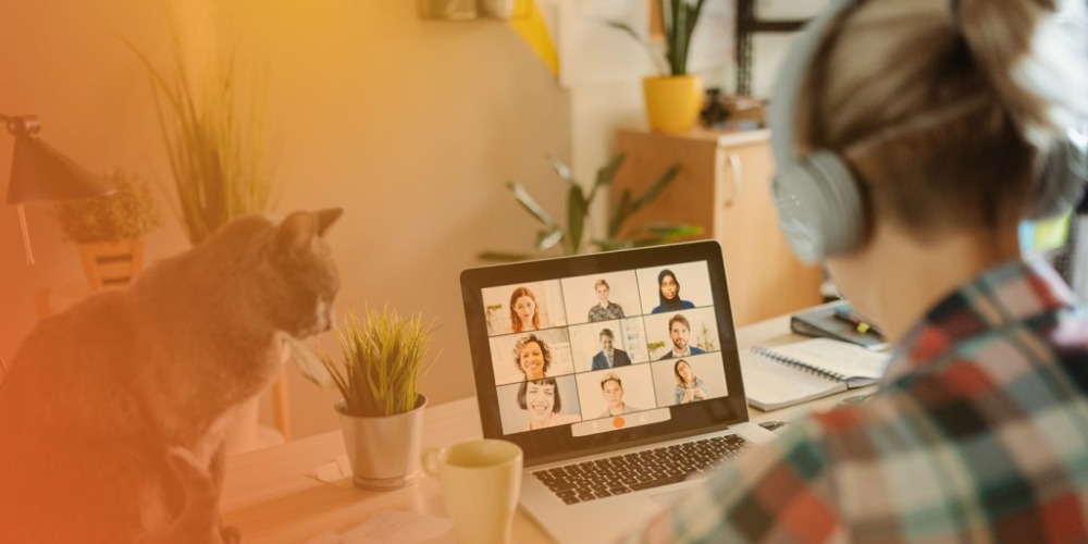 Virtual team meeting with cat on desk