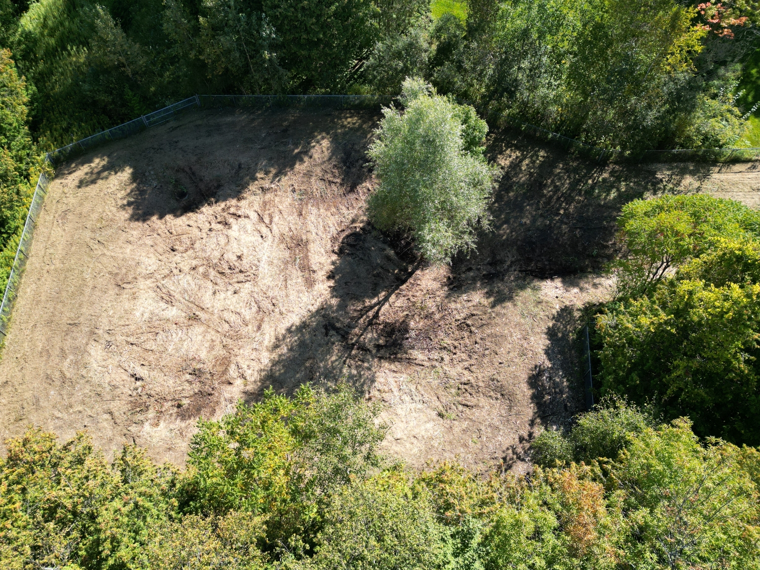 Dry pond after Phragmites control treatment