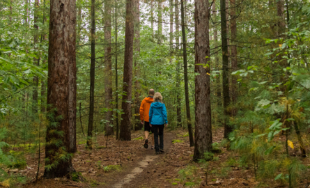 Older couple walking in forest
