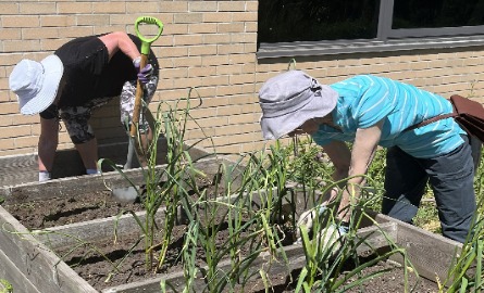 Two women gardening