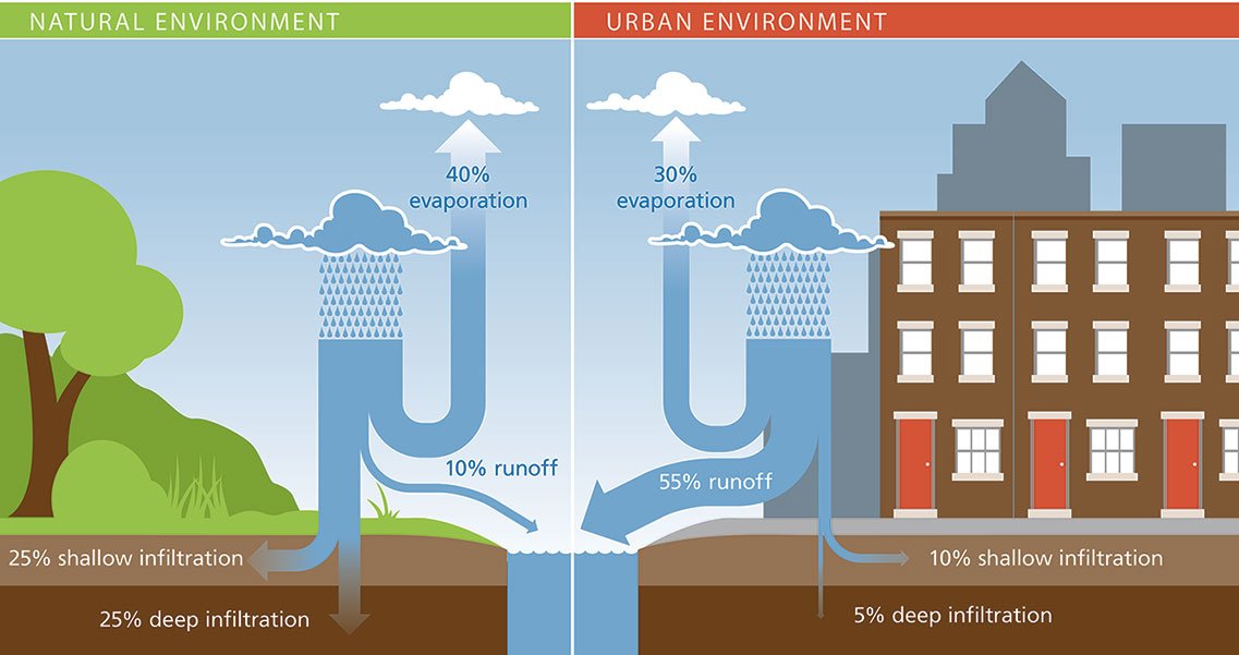 Graphic showing differences of run off in a urban environment versus natural environment