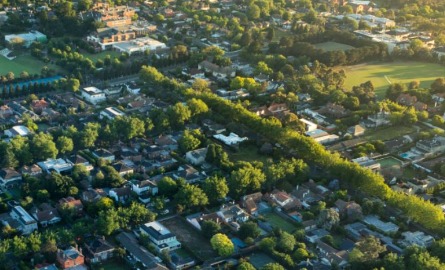 Aerial shot of city with trees