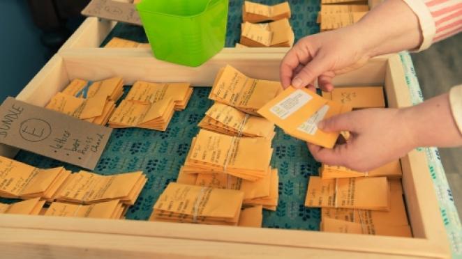 Woman browsing packets of seeds