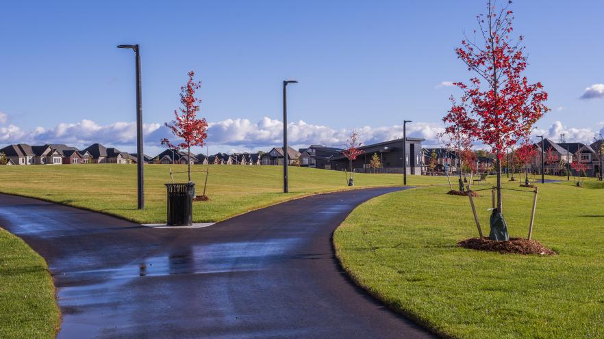 Paved multi-use trail winding through a large open park, lined with young trees, light standards, and grassy fields.