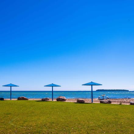 Grass area next to a beach with three beach umbrellas