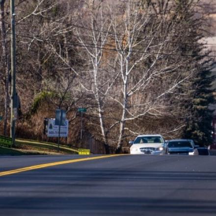 Quiet suburban street with cars and trees lining both sides.