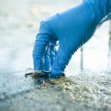 Person taking sample of lake water